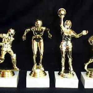Average 15cm Sport Figures - Trophies
