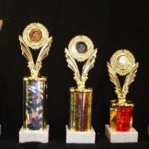 10a,10b,10c,10f,10g - Trophies