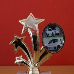Oval Star - Trophies 16.5cm
