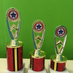 C6 set of 3 - Trophies