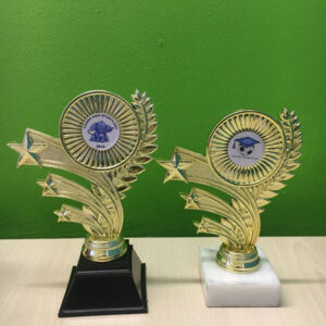 Shooting star - Trophies