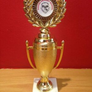 Stipple 1 - Trophies 19.5cm