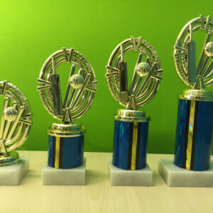 Cricket Theme - Trophies