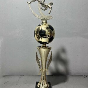 Goal Crusher Trophy