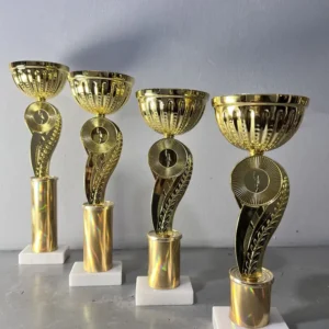 Gold Metal Cup / Super Bowl