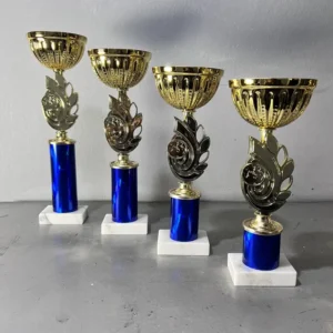 Gold Metal Cup / Urban Swirl