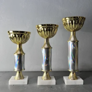 Gold Metal Cup / Victory Bowl