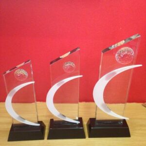 Half Moon Golf Glass Award