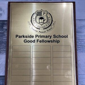 A4 Plaque Floating Award