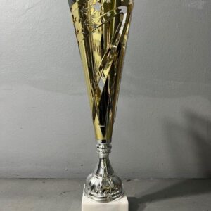 Astro Star Gold/Silver Cup