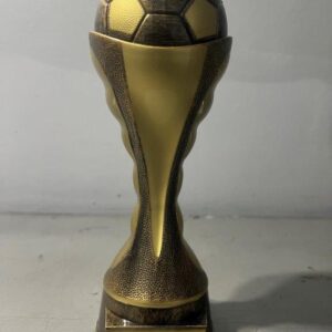 Footballer Cup 2024
