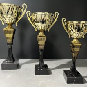 Gold Metal Cup (NC13)