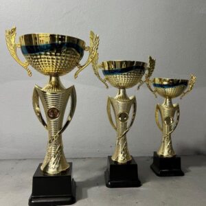 Gold Metal Cup (NC11)