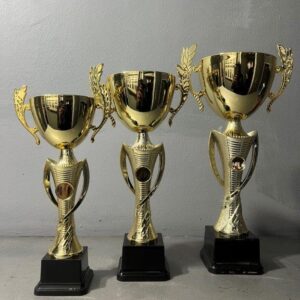 NC 12A/12B/12C Gold Metal Cup