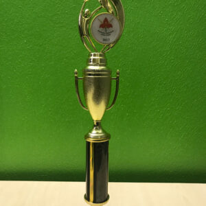 Reaching for the Stars (90A/B/C)