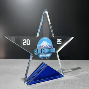 Luxe Star Award (19cm)