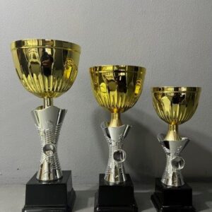 NC 3A/3B/3C Gold Metal Cup with Silver Stem