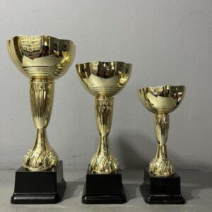 NC 4A/4B/4C Gold Metal Cup