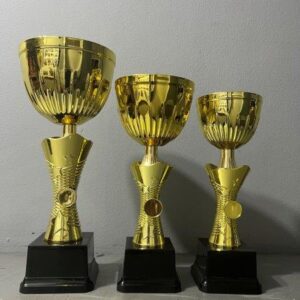 Gold Metal Cup (NC6)