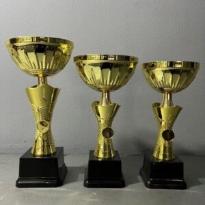 NC 7A/7B/7C Gold Metal Cup