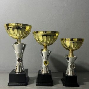 Gold Metal Cup with Silver Stem (NC8)