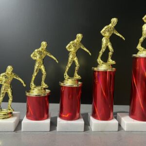 Rugby WC – Budget Figures