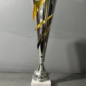 Silver & Gold Tower Cup