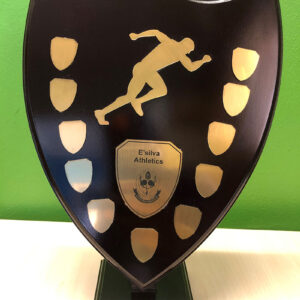 Wooden Shield Floating Award (WSFL)